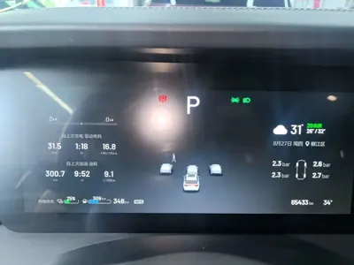 Li Auto Li ONE