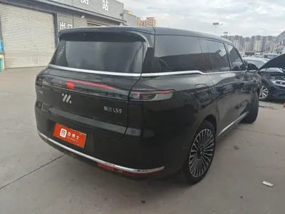 IM IM LS9