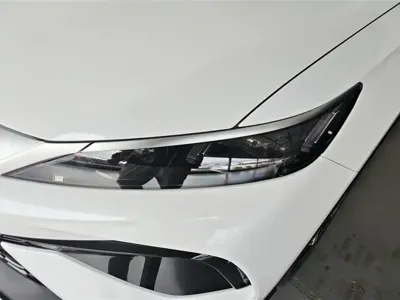 BYD Pro New Energy