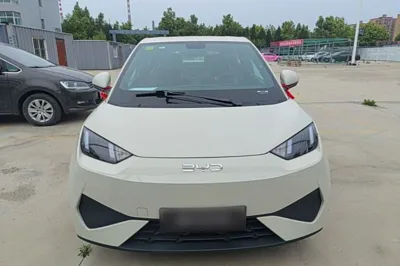 BYD Seagull
