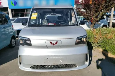 Wuling Zhiguang New Energy
