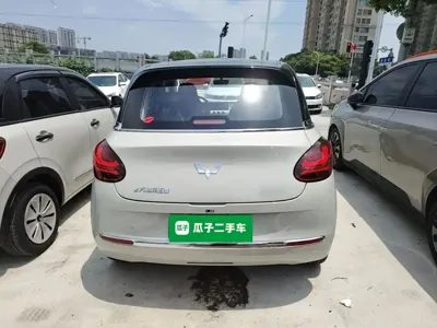 Wuling Bingo