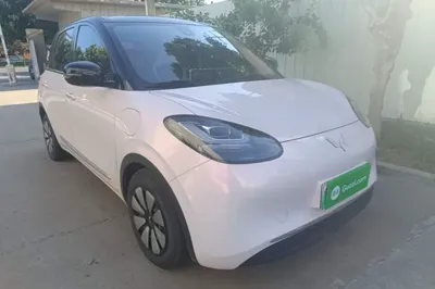 Wuling Bingo