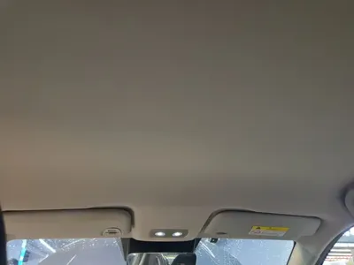 NETA Neta V