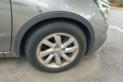 Baojun 310W