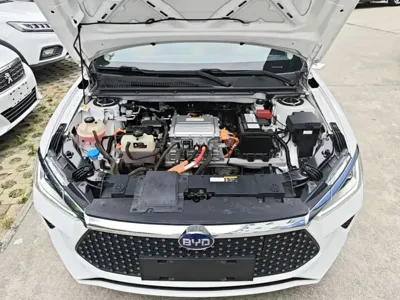 BYD e2