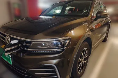 Volkswagen Tiguan L New Energy