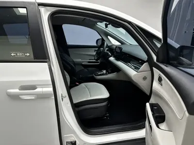 BYD D1