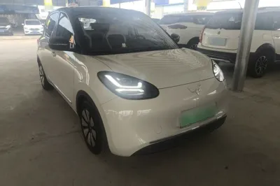 Wuling Bingo