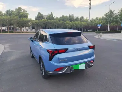 NETA Neta V
