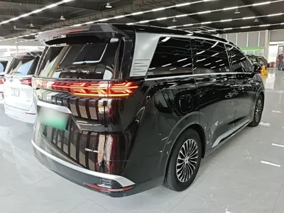 Denza D9