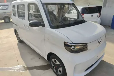 Wuling Zhiguang New Energy