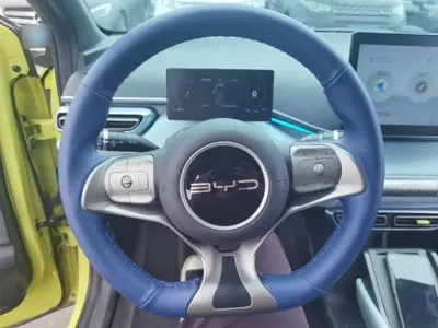 BYD Seagull
