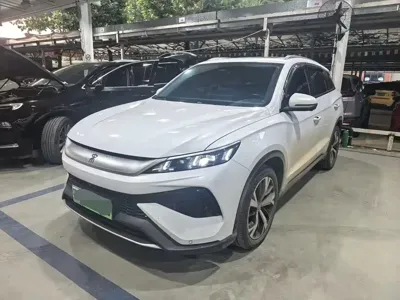 BYD Pro New Energy