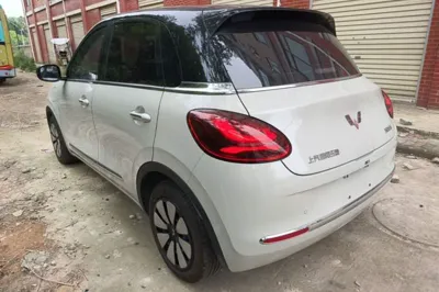 Wuling Bingo