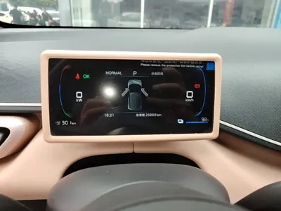 BYD Seagull