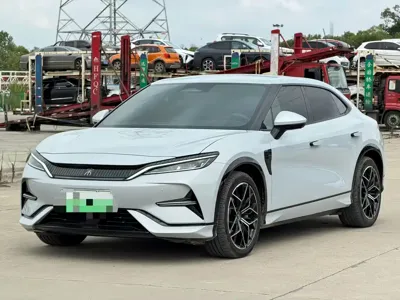 BYD L EV