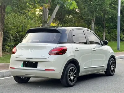 Wuling Bingo