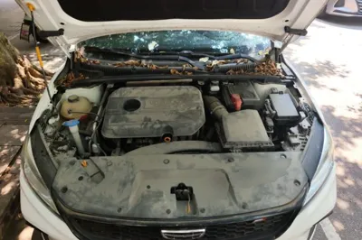 Geely Auto Binray