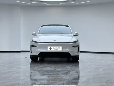 Tesla Model Y L