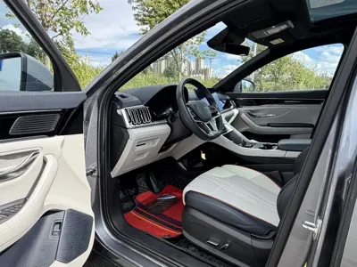 BYD PLUS