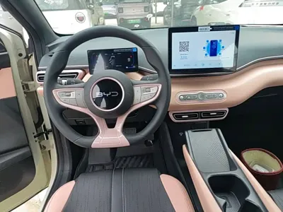 BYD Seagull