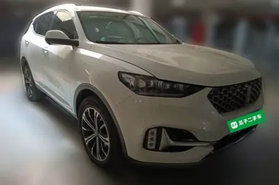 WEY VV6