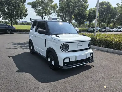 Galaxy Panda