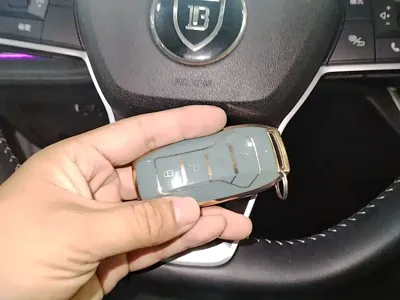 BYD Pro