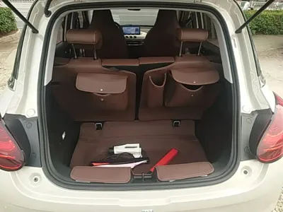 Wuling Bingo