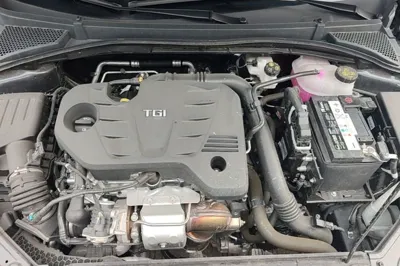 MG 5