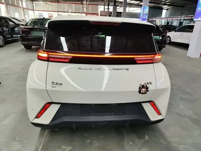 BYD Seagull
