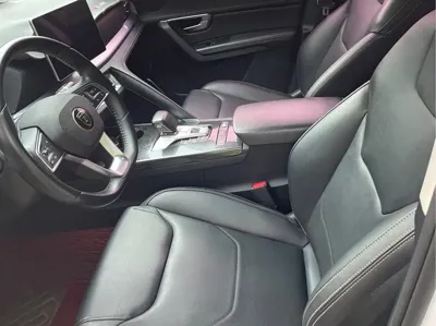 BYD Pro