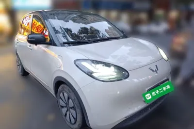 Wuling Bingo