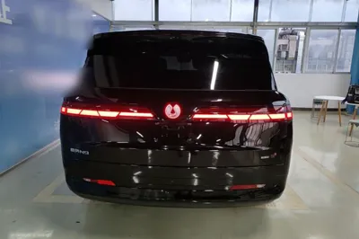 Denza N9