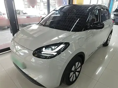 Wuling Bingo