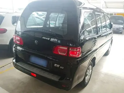 Fengxing Lingzhi