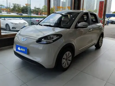 Wuling Bingo