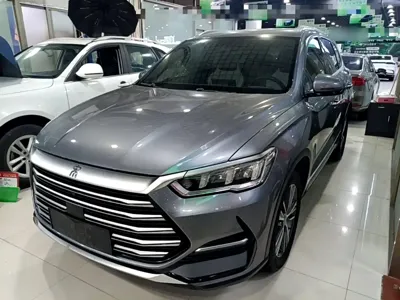 BYD Pro New Energy