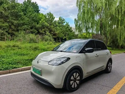 Wuling Bingo
