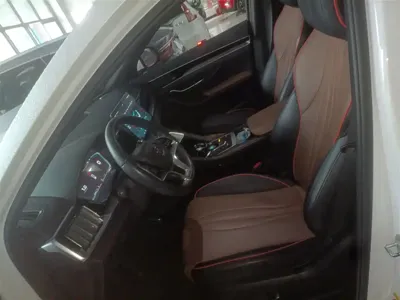 BYD PLUS