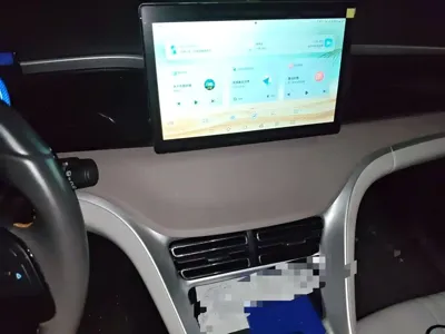 BYD Pro New Energy