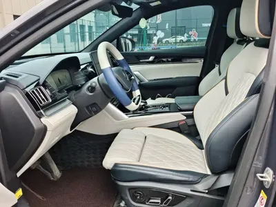 BYD Tang New Energy