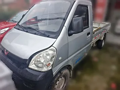 Wuling Rongguang Mini Truck