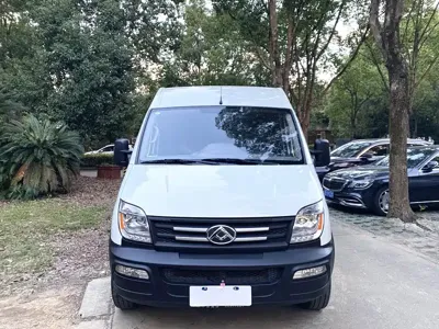Maxus V80