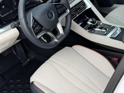 BYD PLUS New Energy