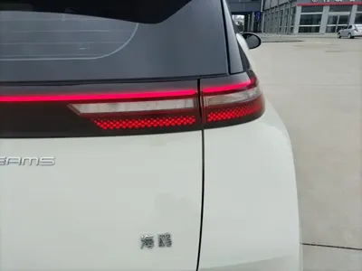 BYD Seagull