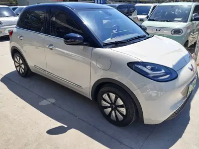 Wuling Bingo