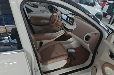 Wuling Bingo