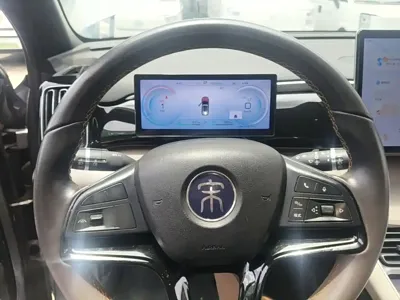 BYD Pro New Energy